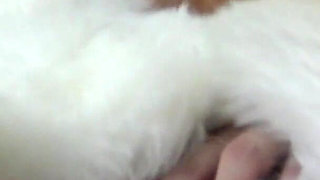 Angelique's Fur Masturbation & Dildo Fucking From the First-person Perspective!